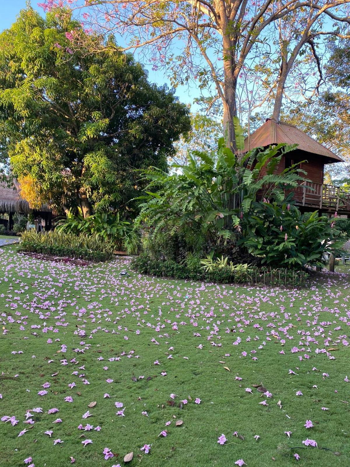 La Bonita Luxury Ecohotel Sahagun Εξωτερικό φωτογραφία